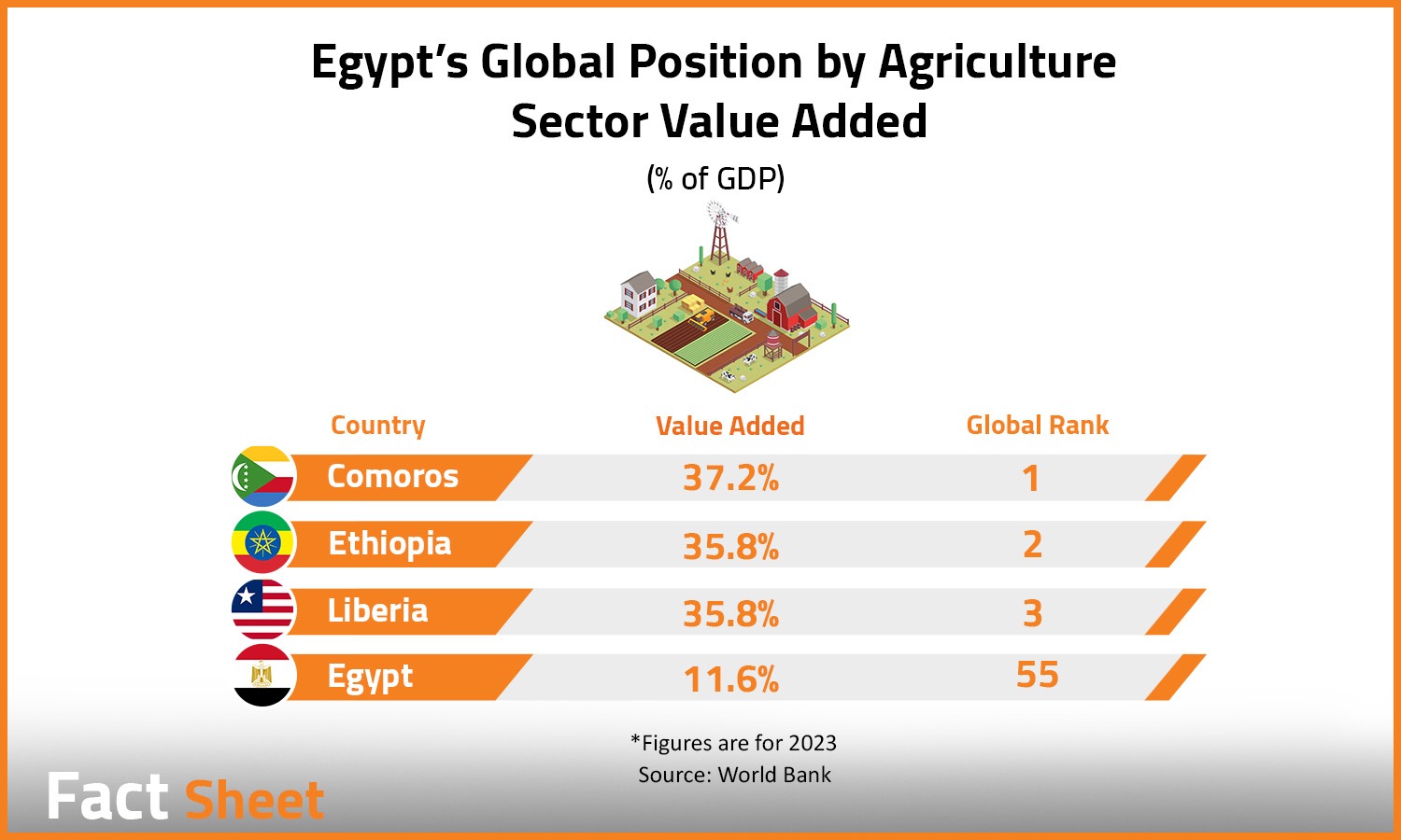 Egypt's Agricultural Production in Focus

